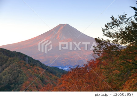 紅葉の御坂峠天下茶屋からの富士山展望 120503957