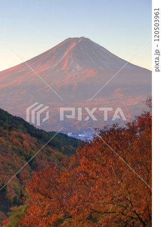 紅葉の御坂峠天下茶屋からの富士山展望 120503961