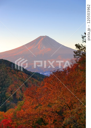 紅葉の御坂峠天下茶屋からの富士山展望 紅葉の御坂峠天下茶屋からの富士山展望 120503962