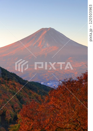 紅葉の御坂峠天下茶屋からの富士山展望 120503963