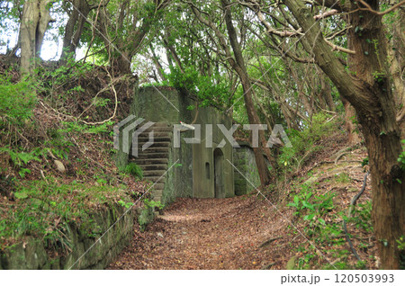 観測所跡(由良要塞基地) 【和歌山県和歌山市】 観測所跡(由良要塞基地) 【和歌山県和歌山市】 120503993