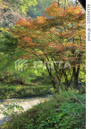 山梨県　原始村キャンプ場 120504319