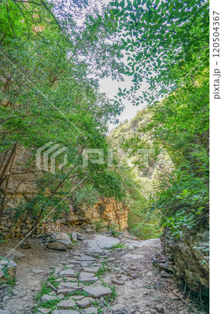 龍洞風景区 120504367