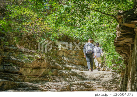 龍洞風景区 120504375