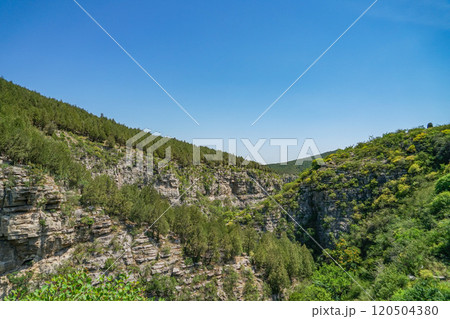 龍洞風景区 120504380