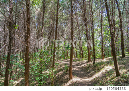 龍洞風景区 120504388