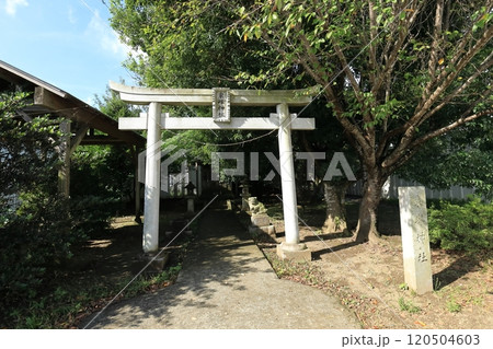 成田空港　東峰神社の鳥居と本堂 120504603