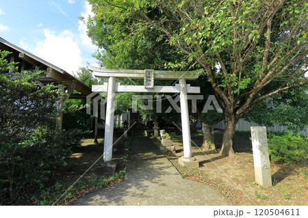 成田空港 東峰神社の鳥居と本堂 成田空港 東峰神社の鳥居と本堂 120504611