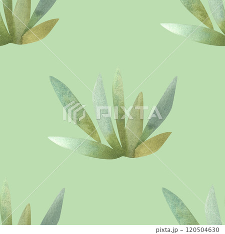 Succulents: seamless watercolor pattern on a white background for wrapping paper and print on fabric, home textiles. Home gardening, hobby. Succulents: seamless watercolor pattern on a white background for wrapping paper and print on fabric, home textiles. Home gardening, hobby. 120504630