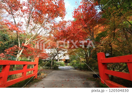 神蔵寺の紅葉 神蔵寺の紅葉 120504830