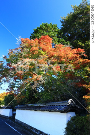 白い塀と紅葉 120504849