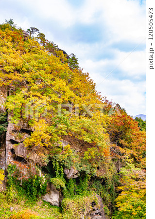山寺の絶壁に生い茂る紅葉 山寺の絶壁に生い茂る紅葉 120505473
