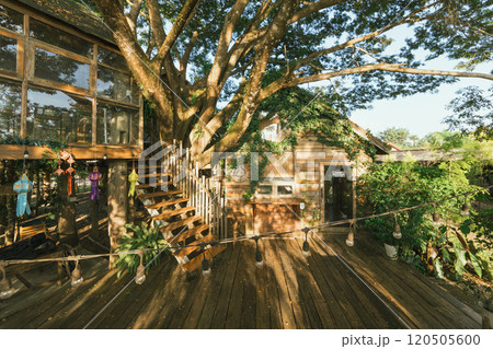 Wooden tree cabin Wooden tree cabin 120505600