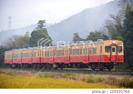 久留里線　下郡－小櫃　JR東日本　キハ30-100＋キハ30-62（幕張） 120505768