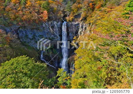 日光華厳の滝を鮮やかな紅葉が彩る 日光華厳の滝を鮮やかな紅葉が彩る 120505770