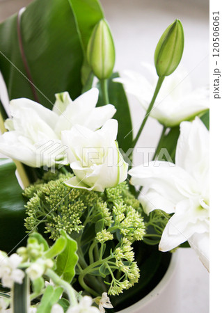 カサブランカのアレンジメント カサブランカのアレンジメント 120506061