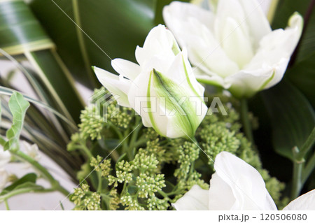 カサブランカのアレンジメント 120506080