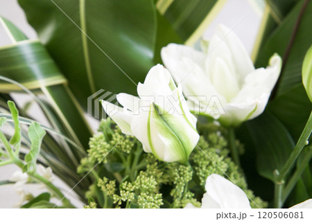 カサブランカのアレンジメント 120506081