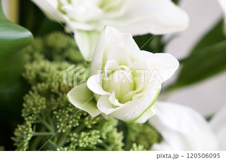 カサブランカのアレンジメント カサブランカのアレンジメント 120506095