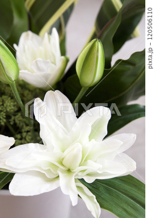 カサブランカのアレンジメント 120506110