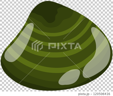 スダレハマグリ スダレハマグリ 120506416