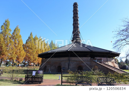 ホフマン窯を飾る美しく紅葉したメタセコイヤの風景 120506834