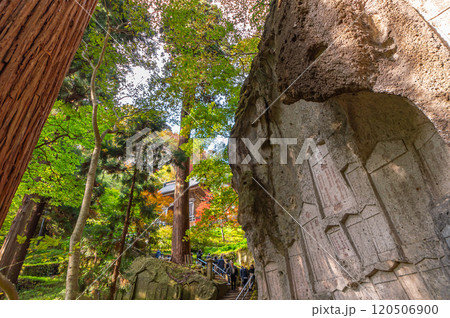 紅葉に染まる仁王門と弥陀洞 / 山寺 紅葉に染まる仁王門と弥陀洞 / 山寺 120506900