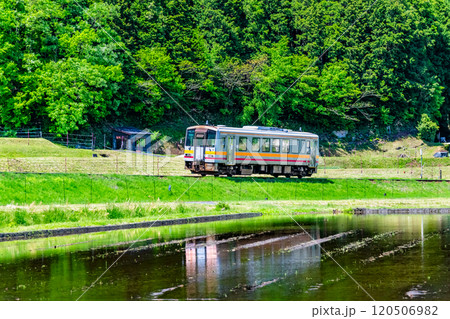 因美線 田園地帯を走る普通列車(土師) 因美線 田園地帯を走る普通列車(土師) 120506982