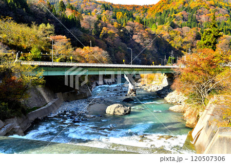 栂池大橋(国道148号)／姫川周辺を上流側より望む(長野県小谷村)【2024.11】 120507306
