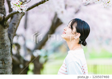 桜の花と若い女性 120507460