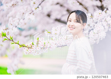 桜の花と若い女性 120507463