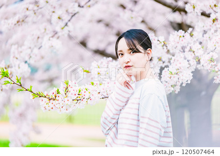 桜の花と若い女性 桜の花と若い女性 120507464