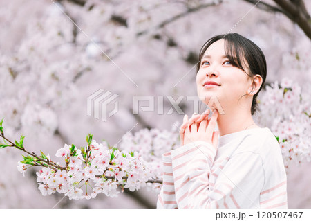 桜の花と若い女性 桜の花と若い女性 120507467
