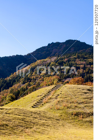 富士川クラフトパーク園内の風景、築山 富士川クラフトパーク園内の風景、築山 120507720