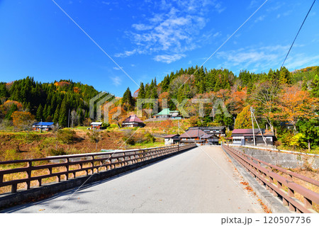中谷橋/中谷川付近の風景(長野県小谷村)【2024.11】 中谷橋/中谷川付近の風景(長野県小谷村)【2024.11】 120507736