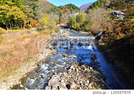 中谷橋/中谷川より上流方向を望む(長野県小谷村)【2024.11】 中谷橋/中谷川より上流方向を望む(長野県小谷村)【2024.11】 120507970