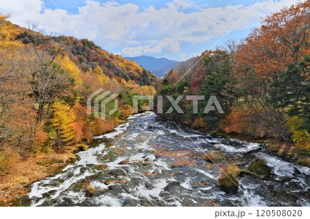 日光 湯川の両岸を鮮やかな紅葉が彩る 日光 湯川の両岸を鮮やかな紅葉が彩る 120508020