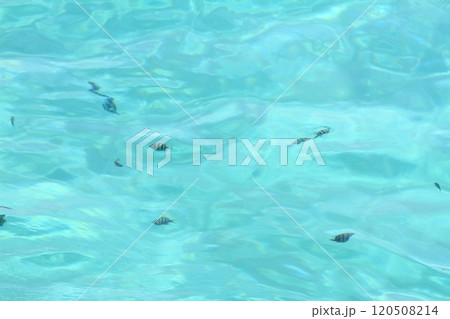 熱帯魚が見られる伊良部島渡口の浜の透明度の高い海 120508214