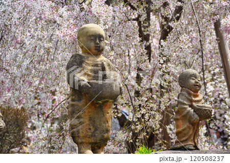 京都　紫雲山頂法寺　六角堂　十六羅漢（京都市中京区） 120508237