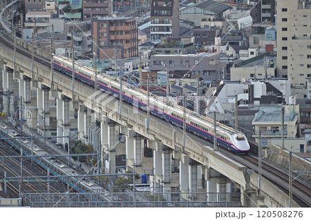 東北新幹線　大宮－上野　JR東日本　E2系　J58編成（仙台）　やまびこ　はやて 120508276