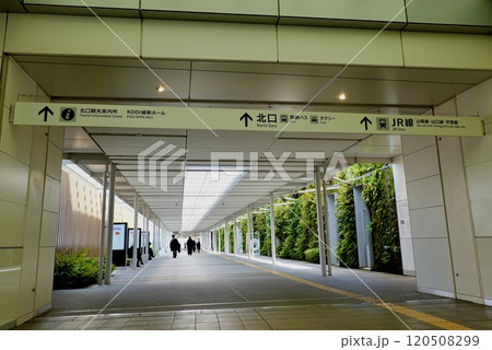 JR新山口駅南北自由通路 垂直庭園 を南側新幹線改札口前から見た風景 山口県山口市 JR新山口駅南北自由通路 垂直庭園 を南側新幹線改札口前から見た風景 山口県山口市 120508299