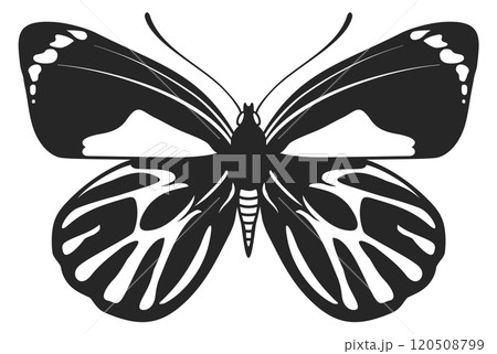 Night butterfly. Mystical summer insect. Wildlife icon 120508799