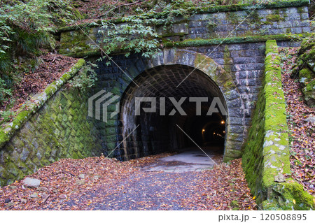 旧天城トンネル 120508895