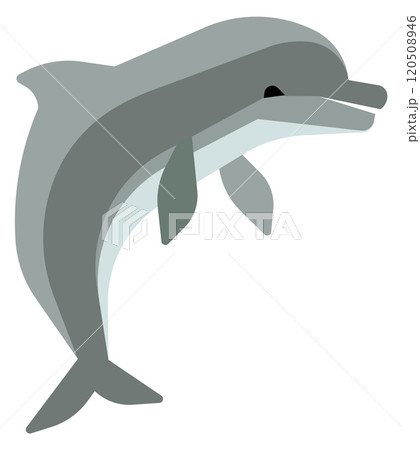 Jumping dolphin. Swimming flipper leap color icon Jumping dolphin. Swimming flipper leap color icon 120508946