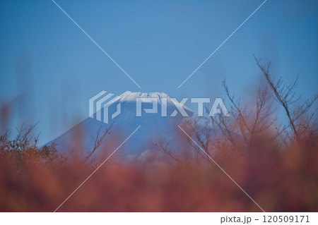 だるま山高原から見た富士山 120509171