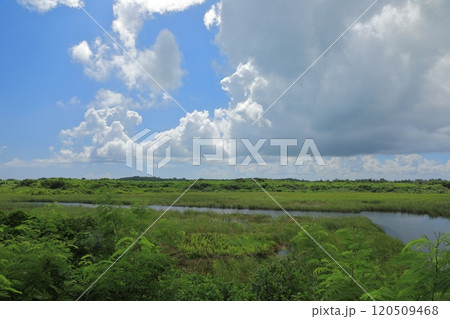 緑に覆われた池間島の池間湿原の美しい風景 120509468