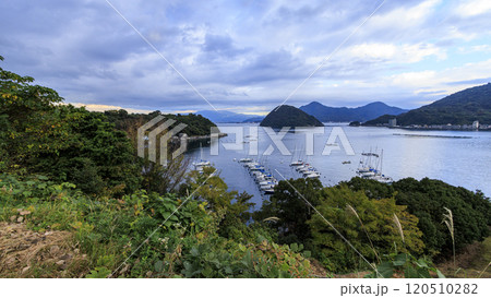 静岡県沼津市長浜城址の秋 120510282