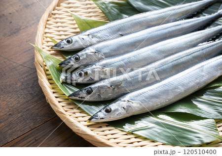 竹ざるに盛られた新鮮なサンマ 竹ざるに盛られた新鮮なサンマ 120510400