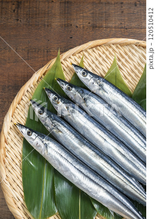 竹ざるに盛られた新鮮なサンマ 120510412
