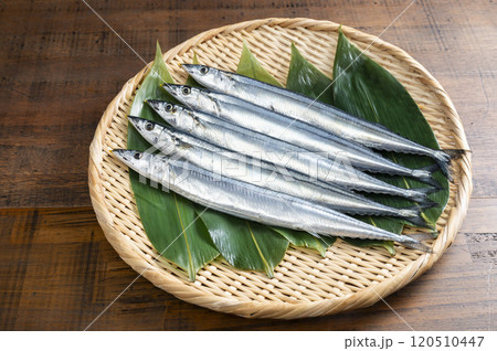 竹ざるに盛られた新鮮なサンマ 120510447